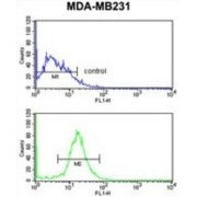 DIRAS Family, GTP-Binding RAS-Like 1 (DIRAS1) Antibody
