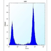 Toll Like Receptor 4 (TLR4) Antibody