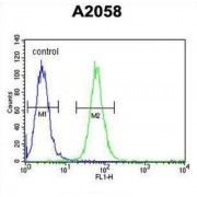Protein ABHD14B (ABHEB) Antibody