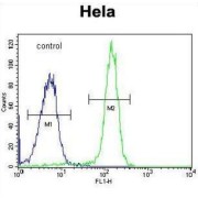 Protein FAM40A (FAM40A) Antibody