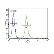 DNA Fragmentation Factor Subunit Beta (DFFB) Antibody