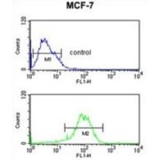 Oxysterols Receptor LXR-Alpha (NR1H3) Antibody