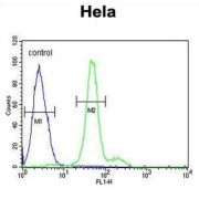 ELOVL Fatty Acid Elongase 5 (ELOVL5) Antibody