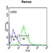 PHTNS Antibody