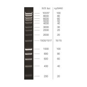 0.2-10 kbp DNA Marker