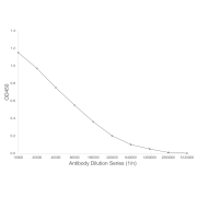 Indirect ELISA analysis, using a dilution series of Rotavirus VP6 Antibody, incubated for 2 h at room temperature, followed by HRP-conjugated Goat anti-Mouse IgG and OPD substrate. Antigen: Rotavirus Strain SA-11 (<a href="https://www.abbexa.com/index.php?route=product/search&search=abx069916" target="_blank">abx069916</a>, 1 µg/well).