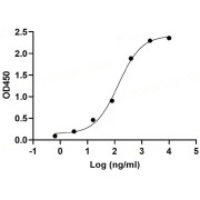 Binding activity of abx376563 Monkeypox Virus M1R Antibody with <a href="https://www.abbexa.com/index.php?route=product/search&search=abx620108" target="_blank">abx620108</a> Monkeypox Virus M1R Protein.