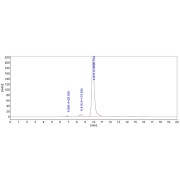 SEC-HPLC analysis of Chikungunya Virus Structural Polyprotein (CHIKV-p130) Antibody.