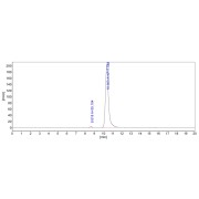 SEC-HPLC analysis of Chikungunya Virus Structural Polyprotein (CHIKV-SP) Antibody.