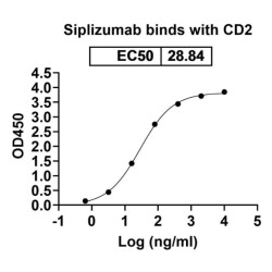 Siplizumab