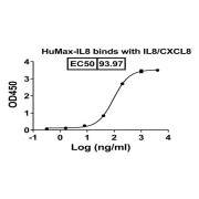 Binding activity of HuMax-IL8 (BMS-986253) with IL8/CXCL8.