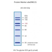30-200 kDa Protein Marker