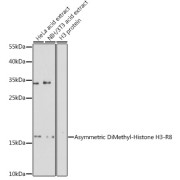 abx000031
