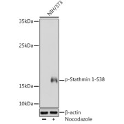 abx000273