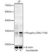 abx000373
