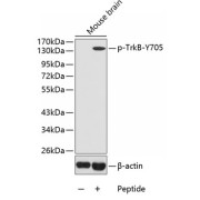 abx000470