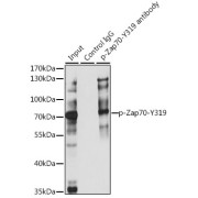abx000514