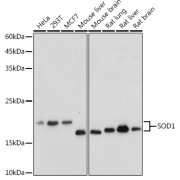 abx000659