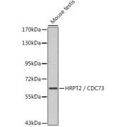 abx000790
