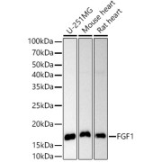 abx000820