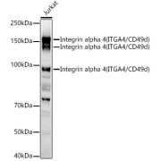 abx000831