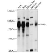 abx000930