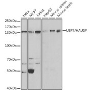 abx001902
