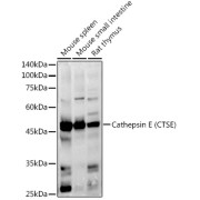 abx002057