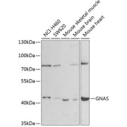 abx002073