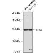 abx002350