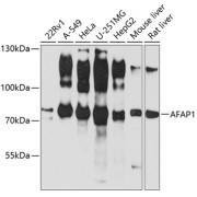 abx002502