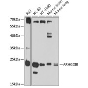 abx002693