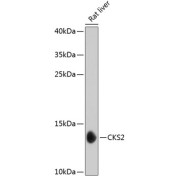 abx002742