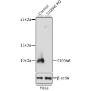 abx003021