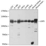 abx003110