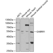 abx004395