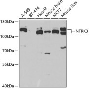 abx004480