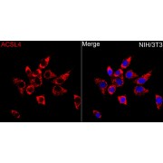 abx005225
