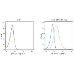 Goat Anti-Mouse IgG H&L Antibody (FITC)