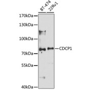 abx005767