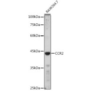 abx005872