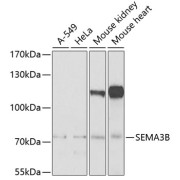 abx006412
