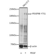 abx123278