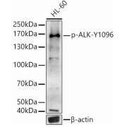 abx123280