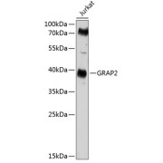 abx123669