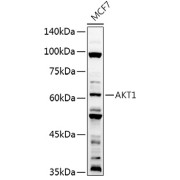 abx125510
