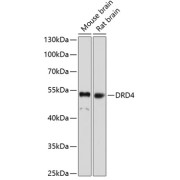 abx125784