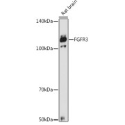 abx135701