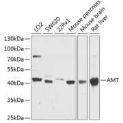 abx135846