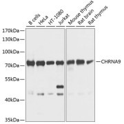 abx135895